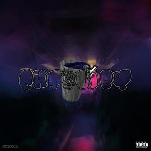 CHTĚLI BY (feat. lostinmaze) (Explicit)