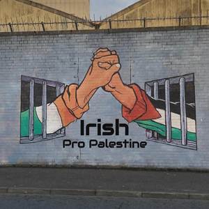 Irish pro Palestine