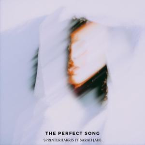 The Perfect Song (feat. Sarah Jade)