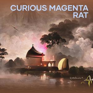 Curious Magenta Rat