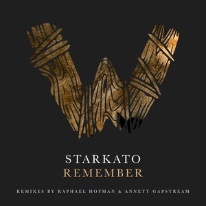 Remember (Raphael Hofman Remix)