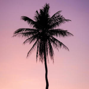 TBT (feat. Jhay Angel) (Explicit)