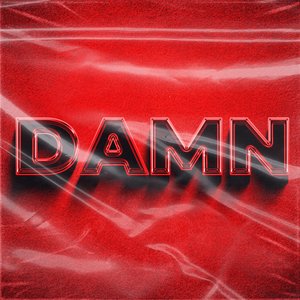 DAMN (Radio Edit)