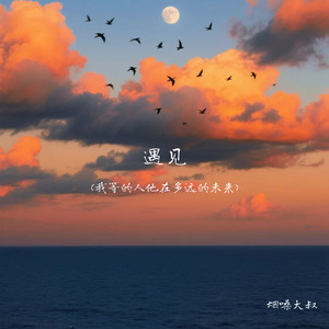 遇见(我等的人他在多远的未来)封面