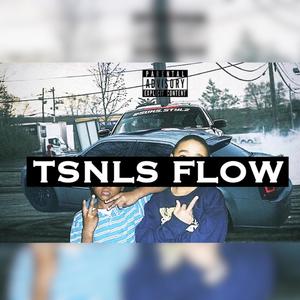 TSNLS Flow (Explicit)