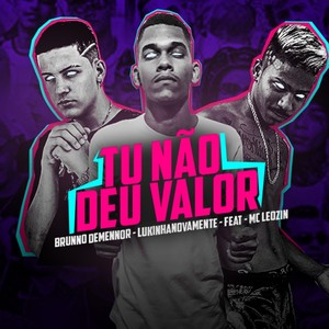 Tu Não Deu Valor (Remix)