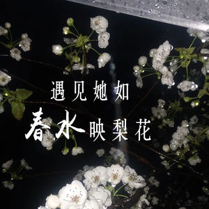 遇见她如春水映梨花