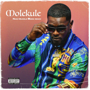 Nani Mukolo Bord (Remix|Explicit)