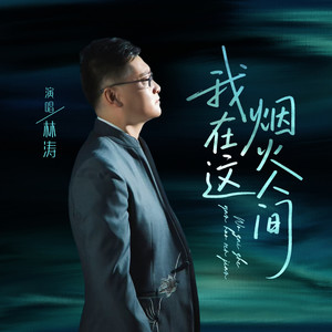 我在这烟火人间