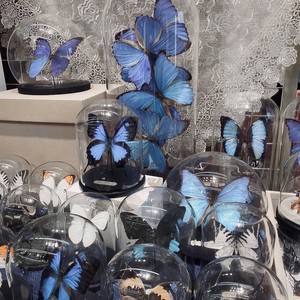 还是总会想起你 (旋律版)