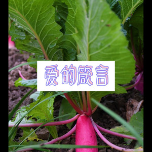 羡长生 (恋爱版)