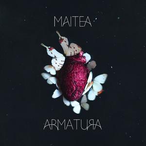 Armatura