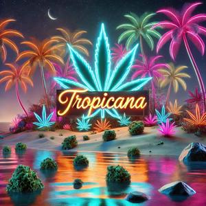 TROPICANA (Explicit)