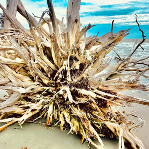 King Tide