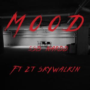 Mood (feat. ZT Skywalkin) [Explicit]