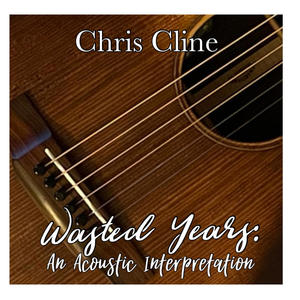 Wasted Years (An Acoustic Interpretation )