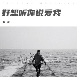 好想听你说爱我