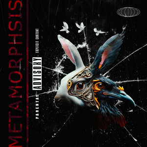 Metamorhposis (Explicit)