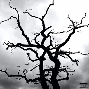 Can't Come Down (feat. LVNDIE) (Explicit)