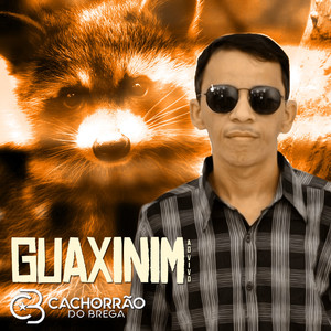 Guaxinim