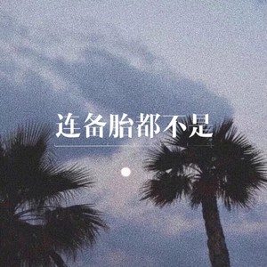 连备胎都不是