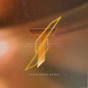 When You See The Light (Radio Edit|Tyler Shane Remix)