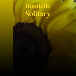 Domicile Solitary