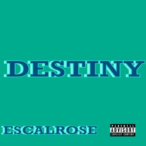 Destiny