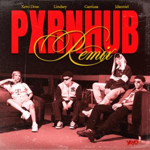 Pxrnhub (feat. Gamusa, J Danniel, Lind Sey & Improv) (Remix)