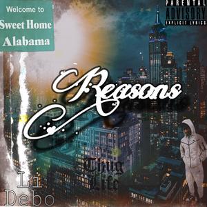 Reasons (Explicit)