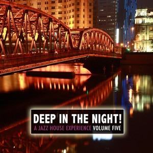 Deep in the Night!, Vol.5 - A Jazz House Experience