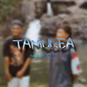 Tamulea (MTB) (feat. Takky Boy & Jr Saia)