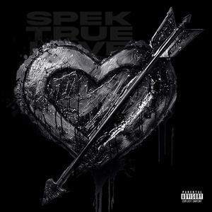 True Love (feat. Spek) (Explicit)
