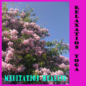 Relaxation yoga meditation healing therapy spa mantra