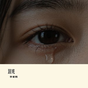 泪光封面