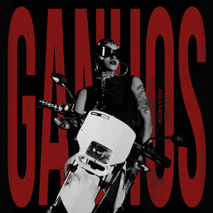 Ganhos (Explicit)