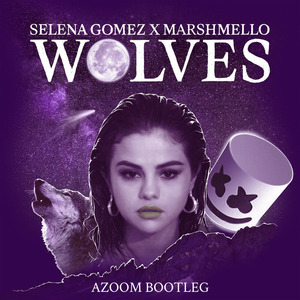 Wolves (AZooM Bootleg)