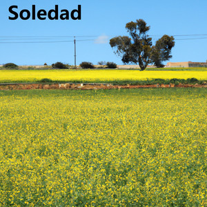 Soledad - Eres cobarde