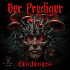 Consciousness (Original Mix)