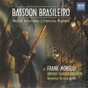 Concertino for Bassoon and Chamber Orchestra - I. Assai moderato