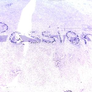 passion (feat. EMA-KATE)