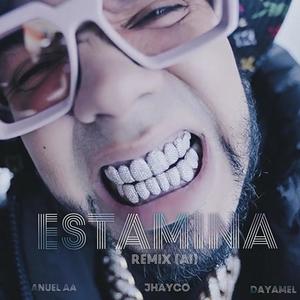 ESTAMINA (feat. Jhaycoo & Anueel AA) (Remix (AI))