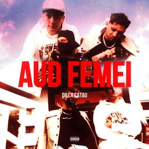 DILI Aud Femei (feat. Catau) [Explicit]