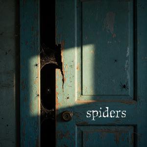 spiders