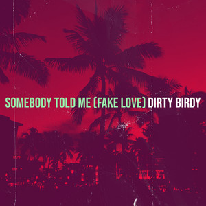 Somebody Told Me (Fake Love) [Explicit]