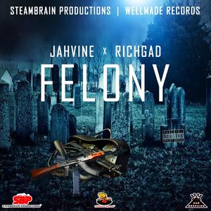 Felony (feat. Rich Gad) (Explicit)