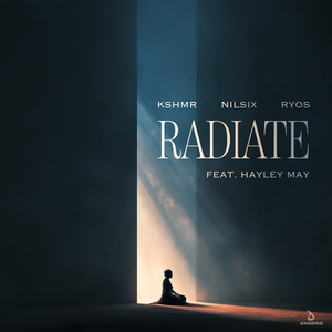 Radiate (feat. Hayley May)