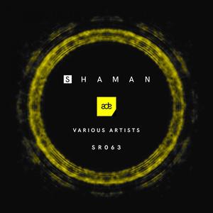 ADE 2019 Vol. 2