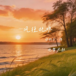 风往北吹（你的手一挥）封面