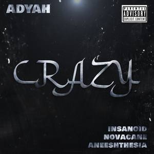 Crazy (feat. Insanoid & Novacane) [Remix]